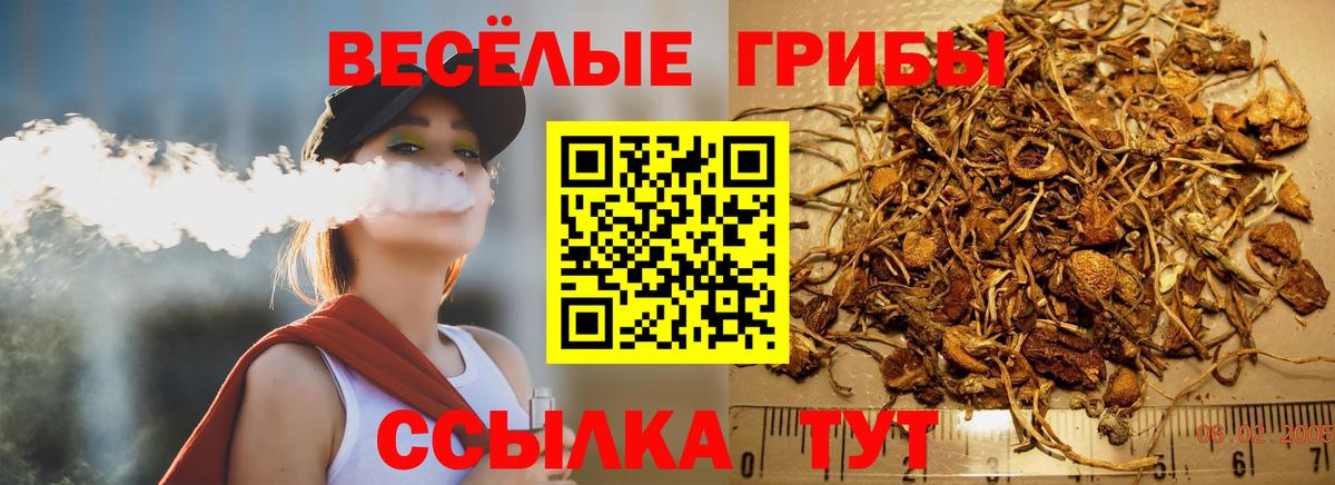 Галлюциногенные грибы прущие грибы  Галлюциногенные грибы Psilocybe  Моздок  Вход с VPN 